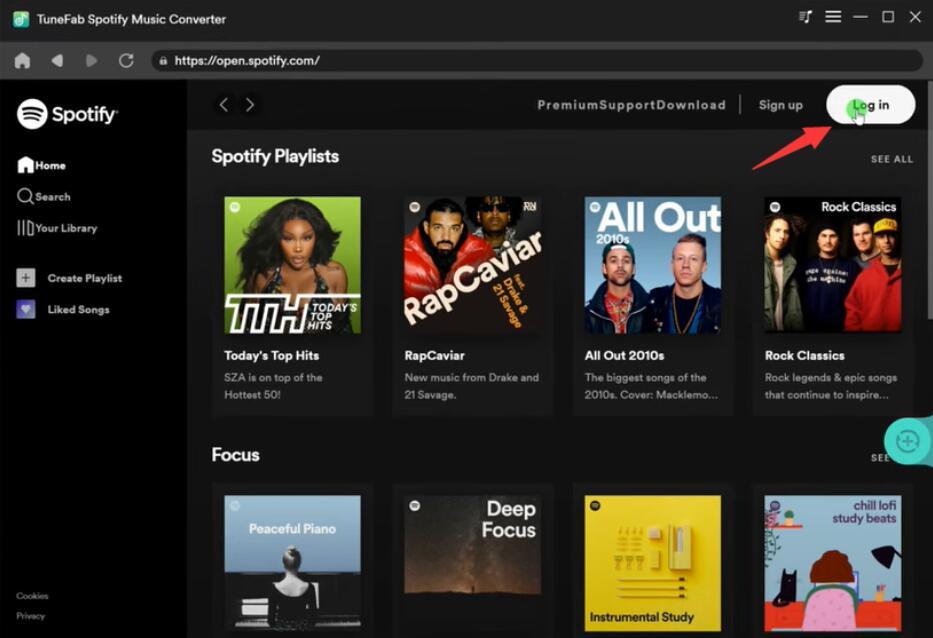 How to Use TuneFab to Download and Convert Spotify to MP3 - 1